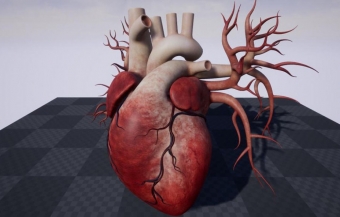Alimlər ilk dəfə 3D printerində CANLI ÜRƏK ÇAP ETDİLƏR