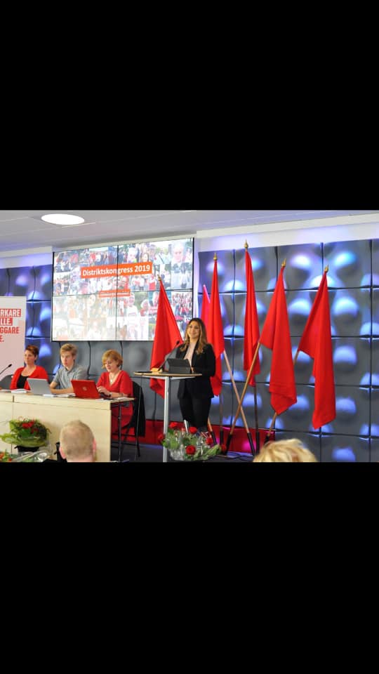 İsveç parlamentinin Azərbaycan əsilli deputatına vəzifə verildi