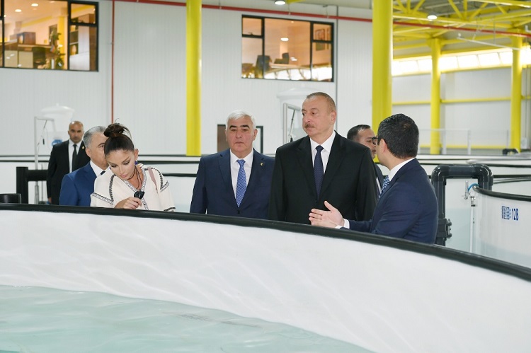 İlham Əliyev balıqyetişdirmə kompleksinin açılışında iştirak edib - <span style="color:red;">YENİLƏNİB