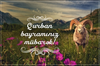 Antisanitar şəraitdə heyvan kəsimi və satışı varsa, zəng edin