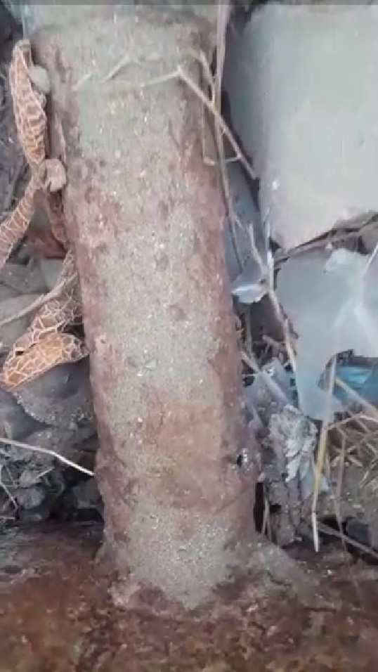 Mərdəkan və Şüvəlanda qaz kəsildi