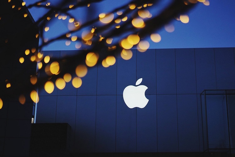 "Apple" Amazon meşələrinin bərpasına maddi köməklik göstərəcək