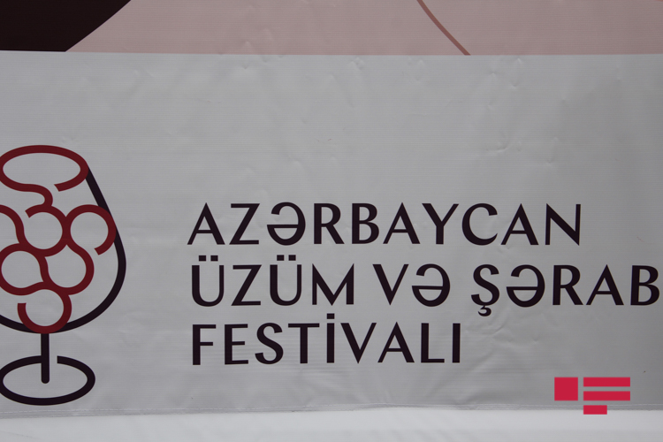 Şamaxıda Azərbaycan Üzüm və Şərab Festivalı keçirilir