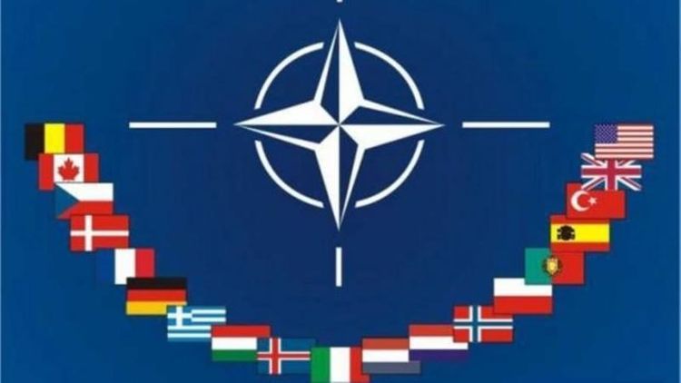 NATO sammiti hərarətli keçəcək - TƏHLİL