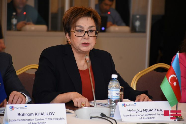 Məleykə Abbaszadə magistraturaya qəbulla bağlı dəyişikliklərdən danışdı