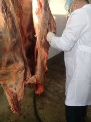 İstifadəyə yararsız külli miqdarda ət məhv edildi - FOTO