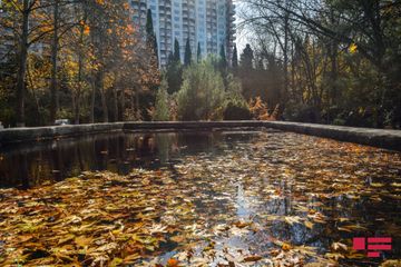 Sabah hava necə olacaq? - PROQNOZ