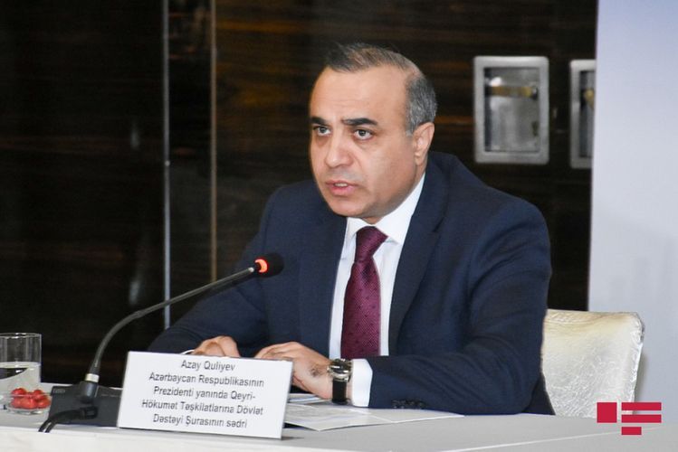 Beynəlxalq layihələr həyata keçirə bilən təşkilatlarımız var - Azay Quliyev