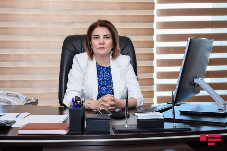 "Mətbuat Şurası da qalsın, KİVDF də, amma..." - Vüsalə Mahirqızı