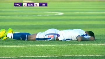 Arılar stadiona hücum etdi, oyun dayandırıldı  - FOTOLENT