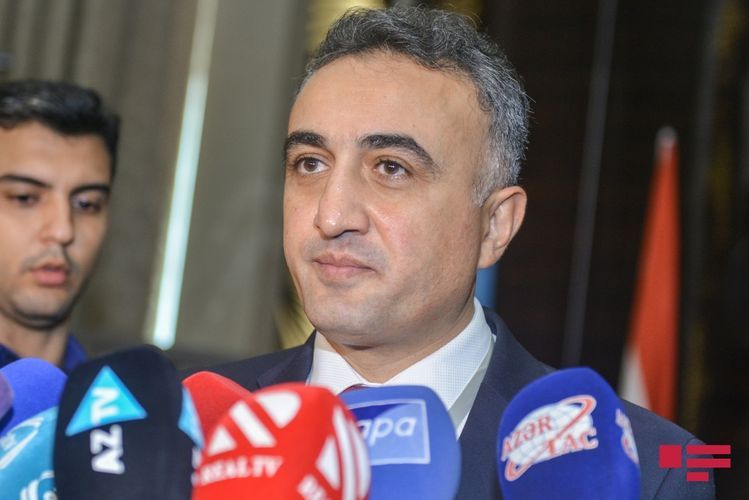 Səfirliklər işimizə müdaxilə etməyə çalışır - Kollegiya sədri