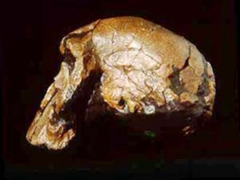 Bu təsdiqlənsə, deməli "Homo Sapiens” Avropada Afrikadan 160 min il əvvəl olub