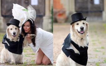 Özünə kişi tapa bilməyən model itə ərə gedir