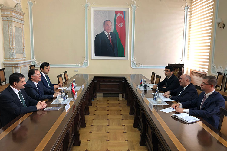 Baş prokuror Zakir Qaralov Türkiyənin Baş Ombudsmanı ilə görüşüb