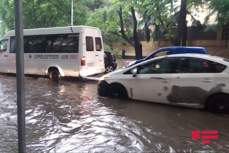 Tbilisidə güclü külək və yağış: bir nəfər ölüb - YENİLƏNİB