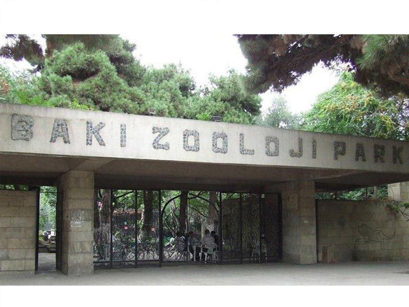 Bakı Zooparkı fəaliyyətini nə vaxt bərpa edir? - <span style="color:red;">AÇIQLANDI