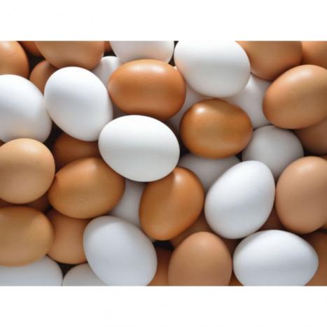 Yumurta barədə nələri yanlış bilirik? – Maraqlı MƏLUMATLAR