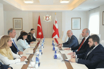 Türkiyə Müdafiə naziri Gürcüstanın Baş naziri ilə görüşüb