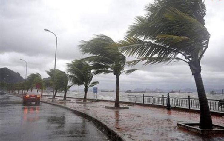 Bakıdakı küləyin sürəti AÇIQLANDI 