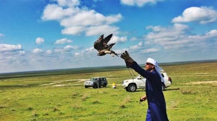 Qanunsuz ova görə iki ərəb külli miqdarda cərimələndi