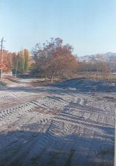 Nazirlik bələdiyyə sədrini cərimələdi - SƏBƏB 