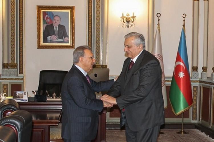 Ramiz Mehdiyev Gürcüstan Milli Elmlər Akademiyasının vitse-prezidenti ilə görüşüb
