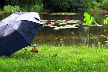 Növbəti iki gündə Azərbaycanda  hava necə olacaq? - PROQNOZ 