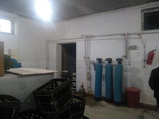 Bakıda içməyə yararsız limonad AŞKARLANDI 