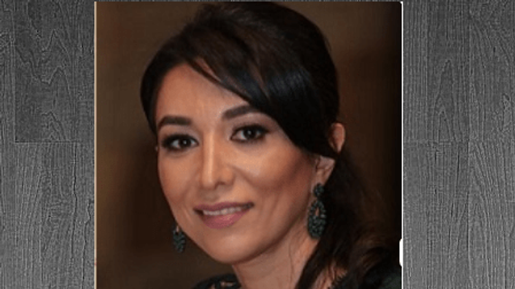 Yeni Ombudsman - Səbinə Əliyeva