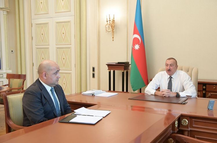İlham Əliyev: "Siz bu sahədə də çox çevik siyasət aparmalısınız"