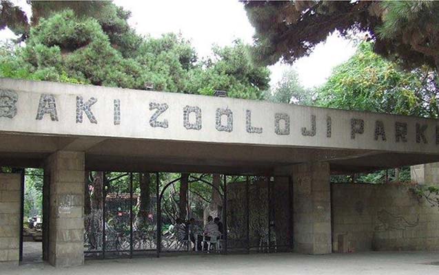 Bakı Zooparkı nə vaxt açılacaq? - <span style="color:red;">"Köhnə parkdan əsər-əlamət qalmayacaq"