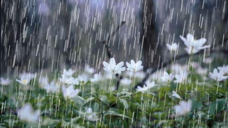 Həftənin ilk iş günü hava necə olacaq? - PROQNOZ