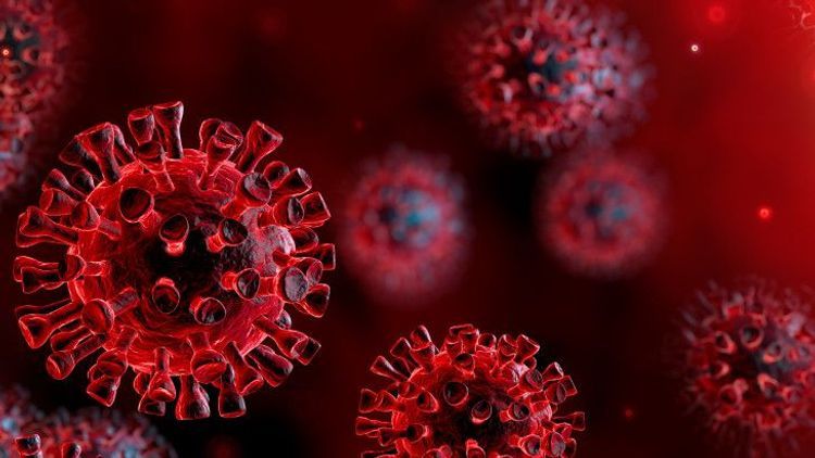 Koronavirusa qarşı süni virus yaradıldı