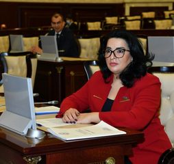 Millət vəkili hökumətə 4 problemlə bağlı müraciət etdi