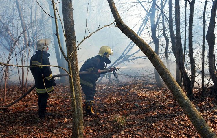 Çernobıl AES yaxınlığında geniş ərazi yanır: Belarus kömək təklif etdi