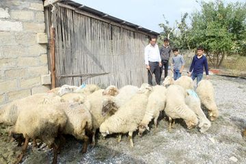 Özünüməşğulluq proqramına cəlb olunacaq ailələrin sayı AÇIQLANDI
