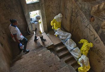 Konqoda ebola üzərində tam qələbə elan ediləcəkdi, lakin...