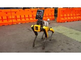 Məşhur robot koronavirusla mübarizəyə cəlb edildi