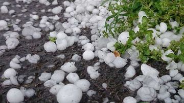 Sabah bu ərazilərdə dolu gözlənilir - PROQNOZ