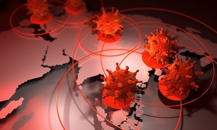 Qlobal koronavirusa yoluxma halları 20 milyon həddini keçdi