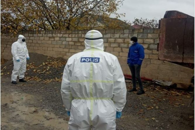 Çöldə gəzən 14 koronavirus xəstəsi saxlanıldı