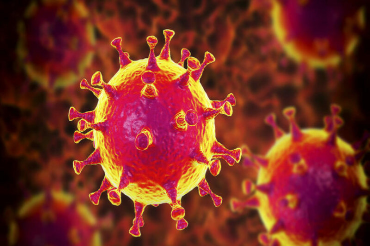 Mutasiyaya uğrayan koronavirus daha bir ölkədə tapıldı