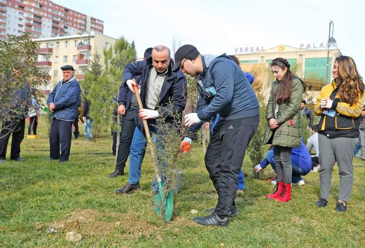 <font color=red>®</font> Azay Quliyevin seçki qərargahı “Yaşıl Binəqədi” adlı ağacəkmə aksiyası keçirib