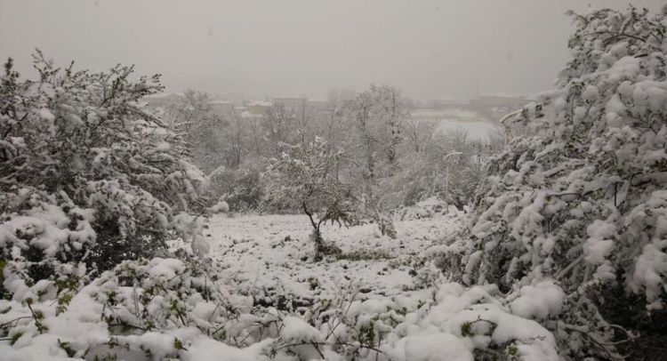 Hava kəskin dəyişəcək - XƏBƏRDARLIQ