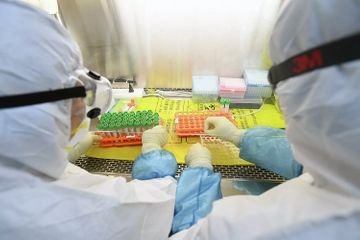 ABŞ-da koronavirus daşıyıcılarının sayı artıb