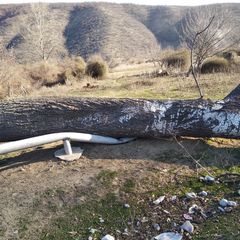 Güclü külək minə yaxın evi qazsız qoydu - FOTO