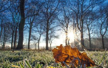Fevralın son günü hava necə olacaq? – PROQNOZ