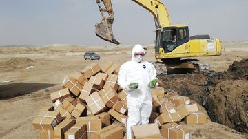 Çindən gətirilən külli miqdarda kivi qurusu məhv edildi