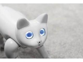 Əhliləşən robot pişik - Bu qiymətə sifariş edə bilərsiniz