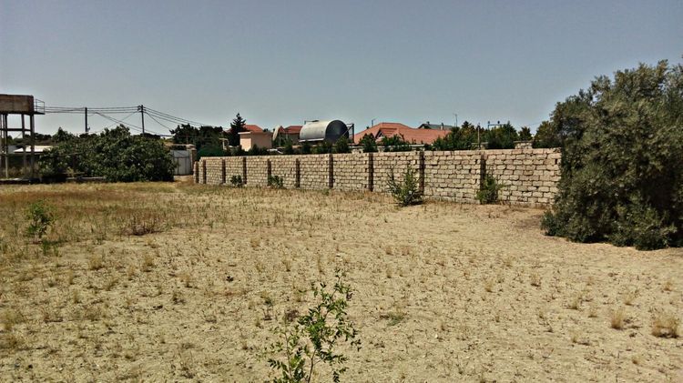 Bakının torpaq bazarında bahalaşma qeydə alınıb